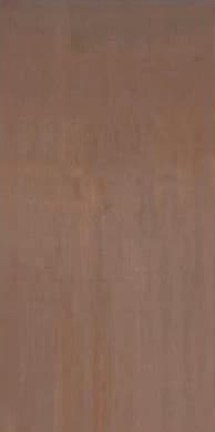 Flush Door (Boiling Water Proof Grade)